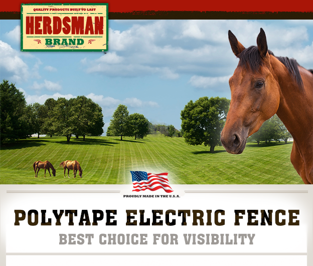 Polytape Electric Fence // Best choice for visibility