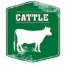 Cattle