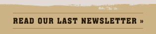 Last newsletter