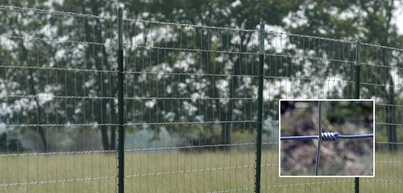 Sheep and Goat Field Fence