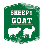 Sheep and Goats